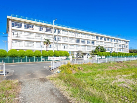 ӊ X[p[ 3600m F˓X