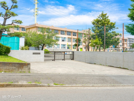 ���ӊ� ���w�Z 170m ����s����돬�w�Z