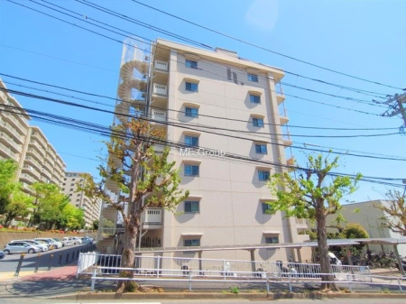 ���n�O�ώʐ^ �O�ρ��܂��͈�x������������