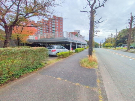 ���n�O�ώʐ^ �O�ρ��V�����Z�܂��A�X�̐V�������i