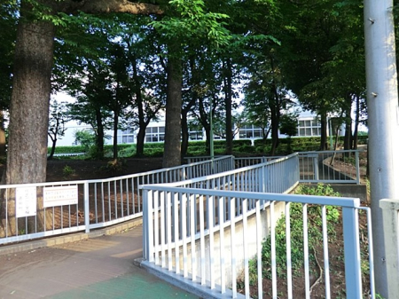 ӊ wZ 960m ͌šwZ