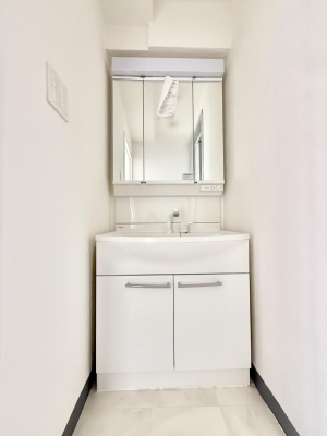 ���ʑ�E���ʏ� �������������Ő������̂�����ʏ�