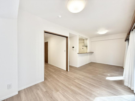 ���̑����� ����