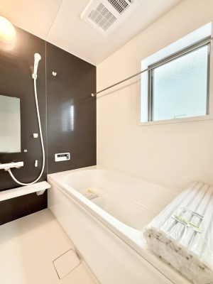 ���� �����������������F�����̕ǖʁA������芰����o�X���[��