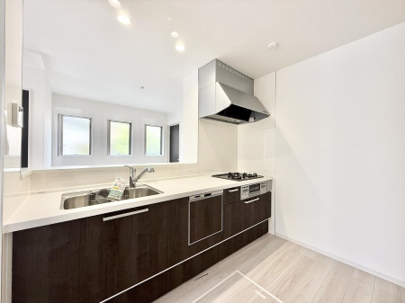 ���̑� ����