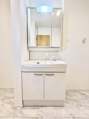 ���ʑ�E���ʏ� ���������̏������X���[�Y�ɂł���L���ł�