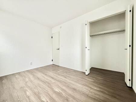 ���̑����� ����