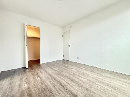 ���̑����� ����