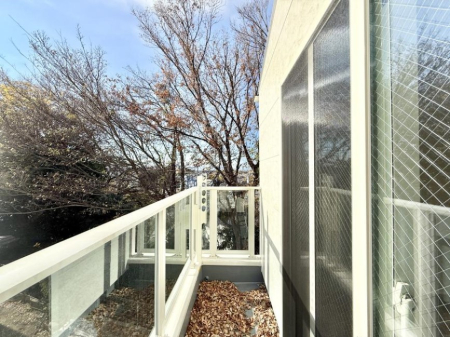 �o���R�j�[ ������ ��𒭂߂Ȃ���A�ق��ƈꑧ������ʂȋ��