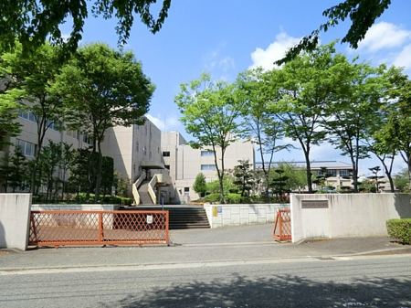 ӊ wZ 950m `s삪uwZ