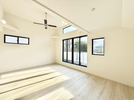 ���̑����� ����