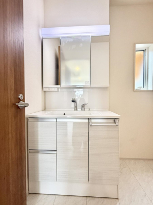 ���ʑ�E���ʏ� ���������̏������X���[�Y�ɂł���L���ł�