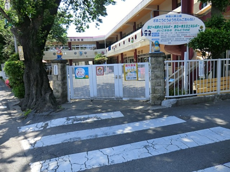 ���ӊ� �c�t���E�ۈ牀 590m ���ԍF���c�t��