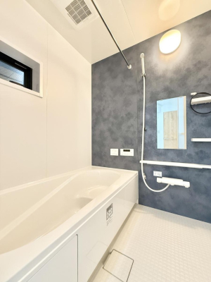 ���� �����������������F�����̕ǖʁA������芰����o�X���[��