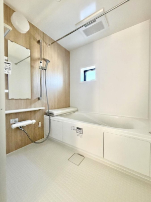 ���� ����