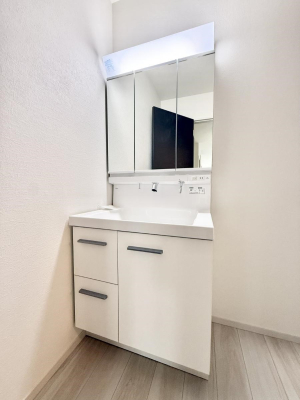 ���ʑ�E���ʏ� �������������Ő������̂�����ʏ�