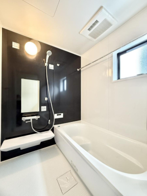 ���� ����