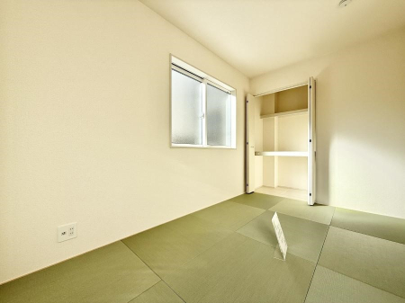 ���̑����� ����