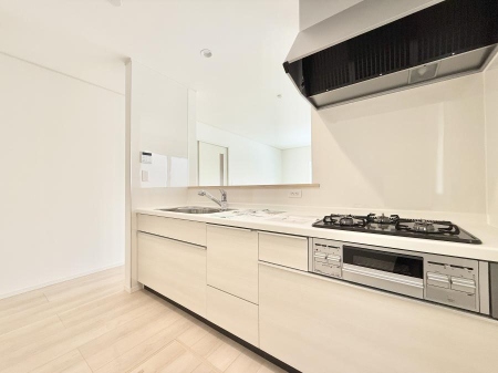 �L�b�`�� �������L���C�ɕЕt���A�g���₷���L�b�`��