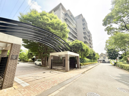 ���n�O�ώʐ^ �O�ρ��D��ȃ��C�����A�������������Ă܂�