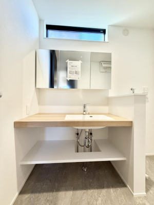 ���ʑ�E���ʏ� ���������̏������X���[�Y�ɂł���L���ł�