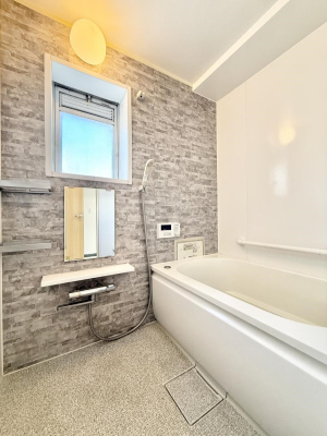 ���� �����������������F�����̕ǖʁA������芰����o�X���[��