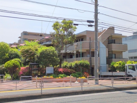 ���n�O�ώʐ^ �O�ρ��D��ȃ��C�����A�������������Ă܂�