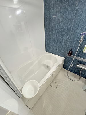 ���� ����