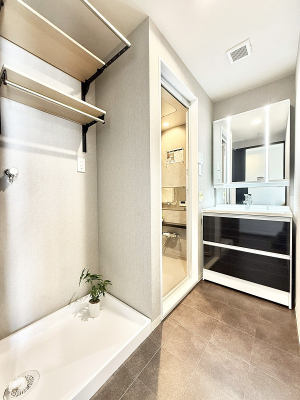 ���ʑ�E���ʏ� ���������̏������X���[�Y�ɂł���L���ł�