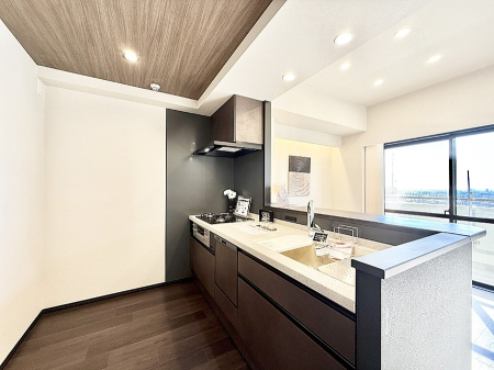 �L�b�`�� �������L���C�ɕЕt���A�g���₷���L�b�`��