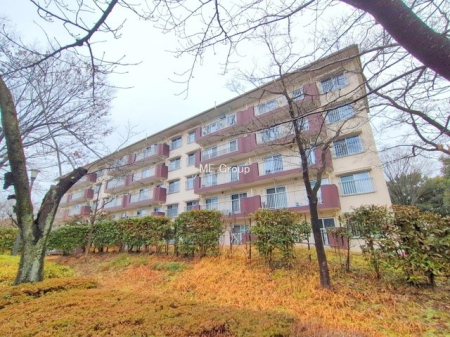 ���n�O�ώʐ^ �O��