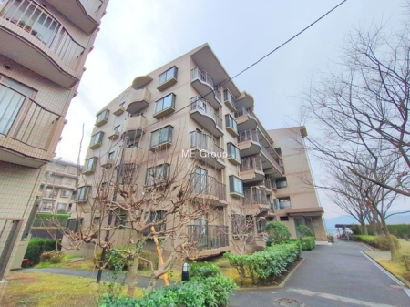 ���n�O�ώʐ^ �O�ρ��V������炵���n�܂�ꏊ�ŁA�Ƒ����J��[�߂�