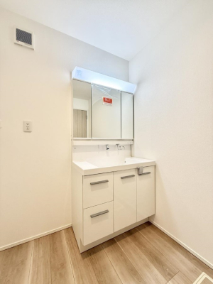 ���ʑ�E���ʏ� ���������̏������X���[�Y�ɂł���L���ł�