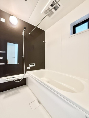 ���� �����������������F�����̕ǖʁA������芰����o�X���[��