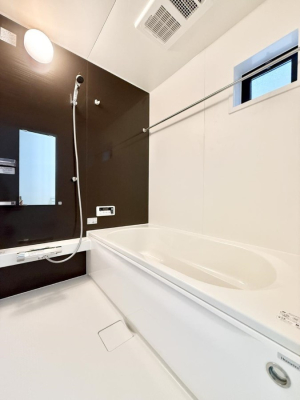 ���� �����������������F�����̕ǖʁA������芰����o�X���[��