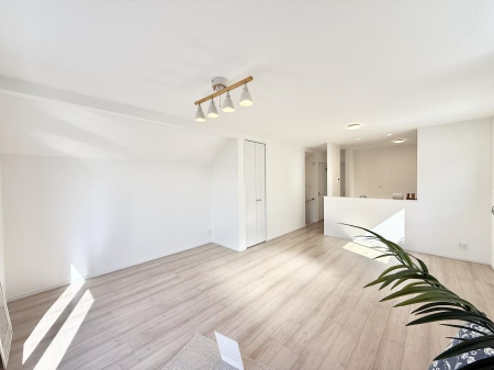 ���̑����� ���������C�Ȃ���������ʂɂ���A�����̋��