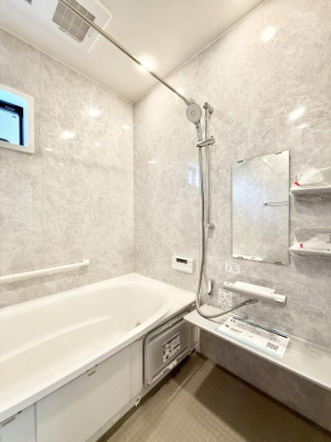 ���� �����������������F�����̕ǖʁA������芰����o�X���[��