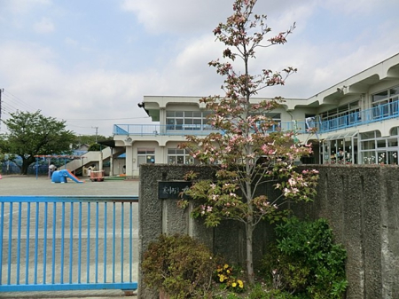 ���ӊ� �c�t���E�ۈ牀 750m ���ۈ牀