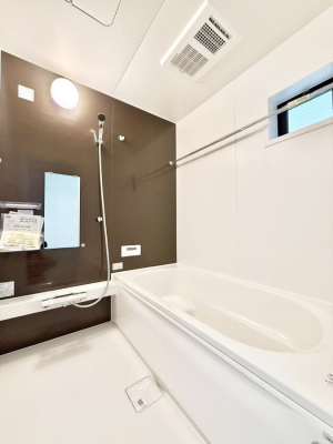 ���� �����������������F�����̕ǖʁA������芰����o�X���[��