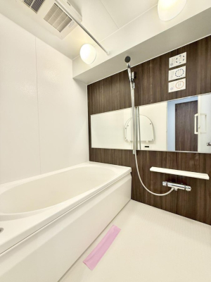 ���� �����������������F�����̕ǖʁA������芰����o�X���[��