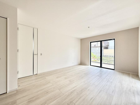 ���̑����� ����