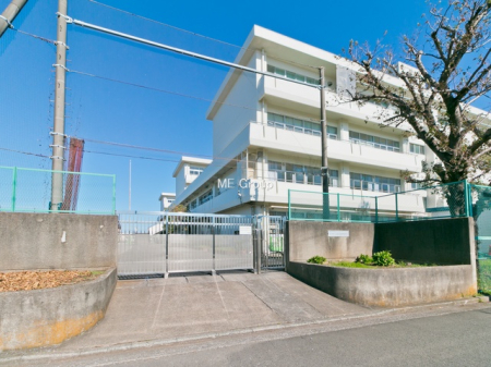 ���ӊ� ���w�Z 800m ���l�s����ѓc���w�Z