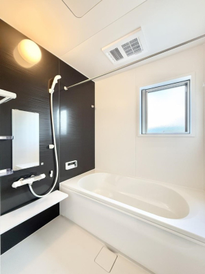 ���� �����������������F�����̕ǖʁA������芰����o�X���[��