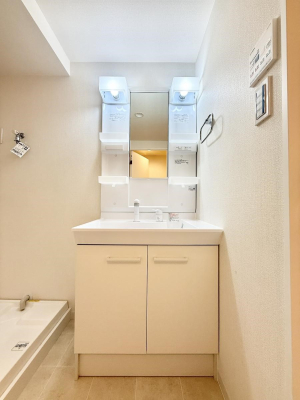 ���ʑ�E���ʏ� ����