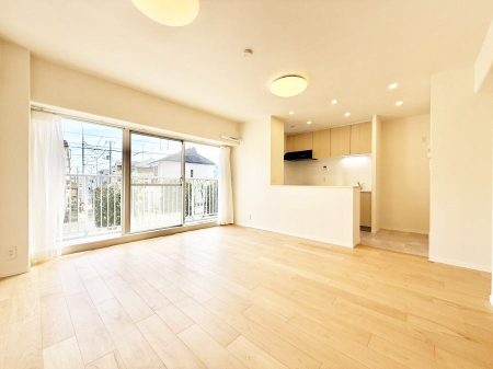 ���̑����� ����