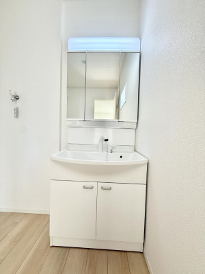 ���ʑ�E���ʏ� ���������̏������X���[�Y�ɂł���L���ł�