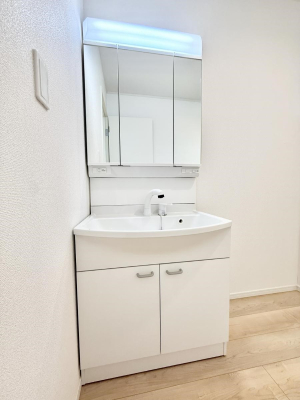 ���ʑ�E���ʏ� ���������̏������X���[�Y�ɂł���L���ł�