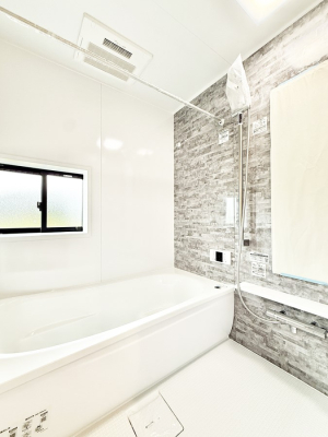 ���� �����������������F�����̕ǖʁA������芰����o�X���[��