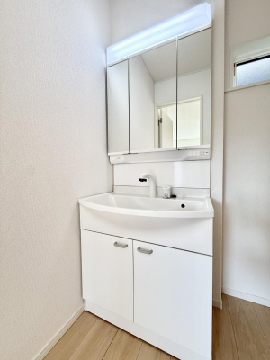 ���ʑ�E���ʏ� ���������̏������X���[�Y�ɂł���L���ł�