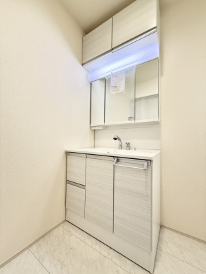 ���ʑ�E���ʏ� ���������̏������X���[�Y�ɂł���L���ł�